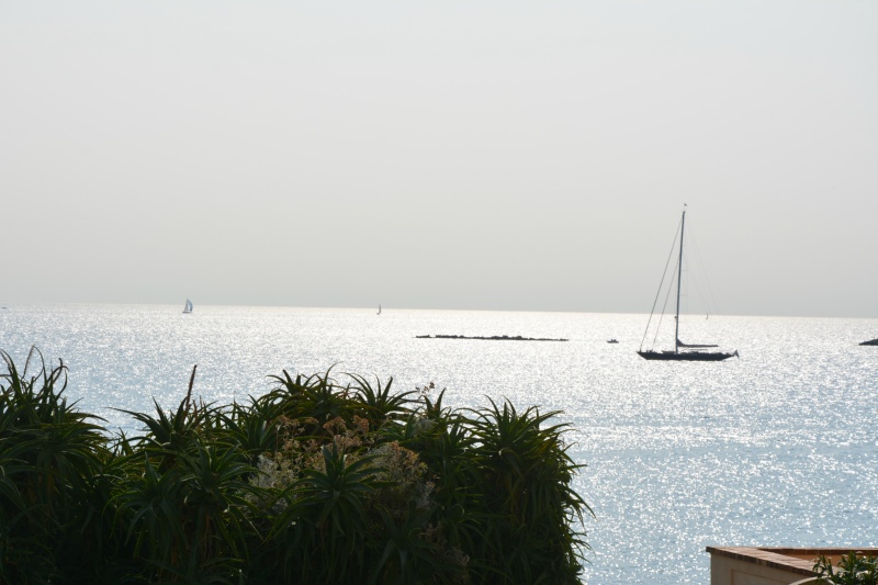 CANNES ANTIBES 219